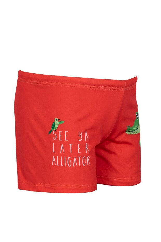 ALLIGATOR SORT - 1