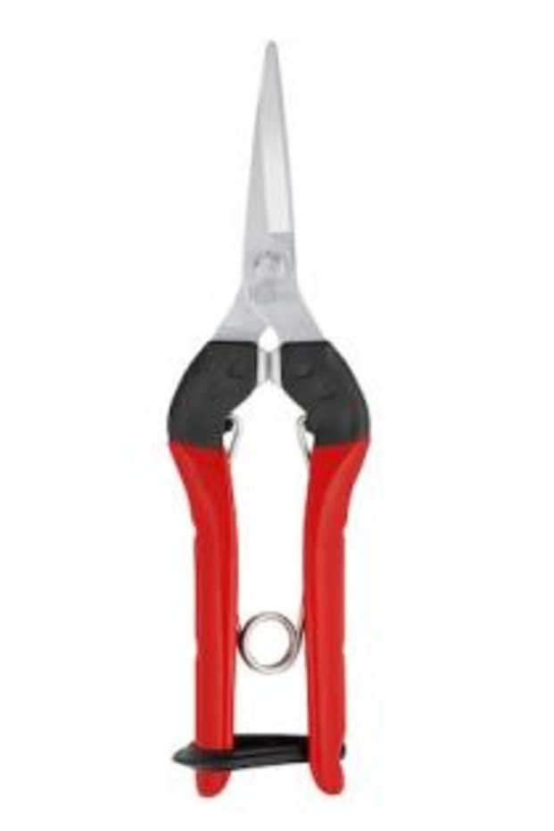 322 Fruit Picking Scissors 19 cm