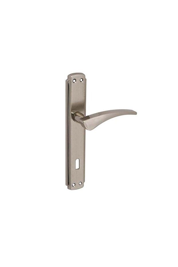 Avşa Eco Mirrored Wc Door Handle