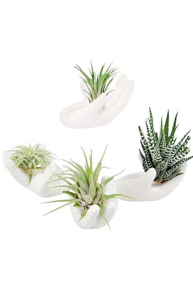 4 Pack Ceramic Air Plant Holders - Mini Tillandsia & Succulent Display Stands | Unique White Home Decor for Desk, Table, Shelf, or Window | Cute Modern Planter Pots for Small Plants