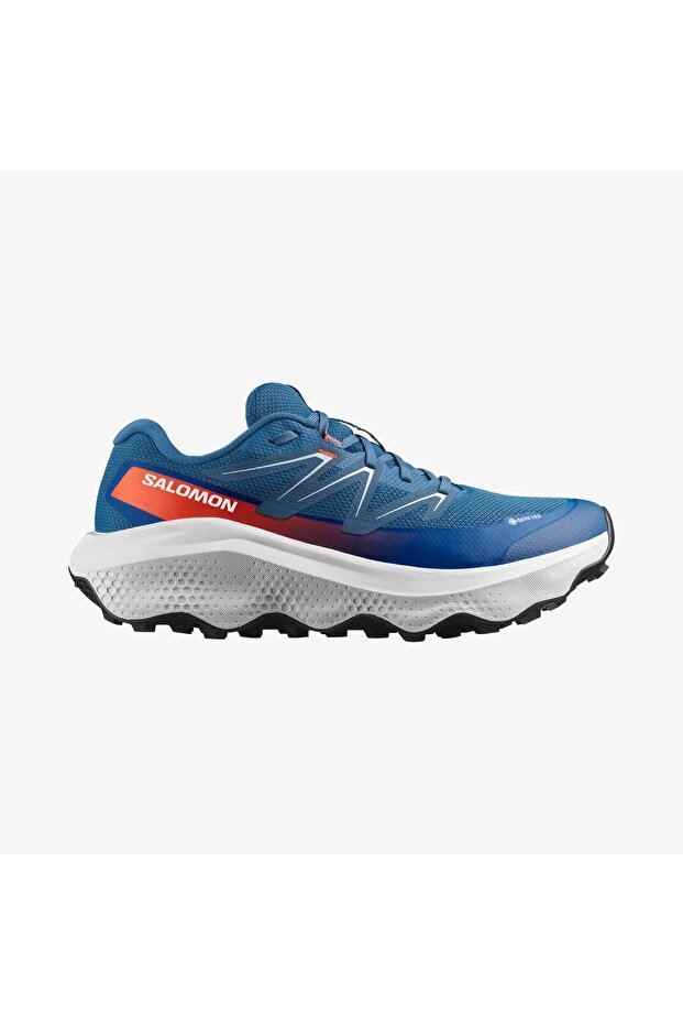 ULTRA FLOW 2 GORE-TEX Erkek Koşu Ayakkabısı Dark Blue L47981500