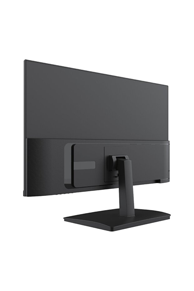 23,8" FHD 100Hz 1ms (HDMI+VGA) Freesync IPS Monitör DMT006 - 4