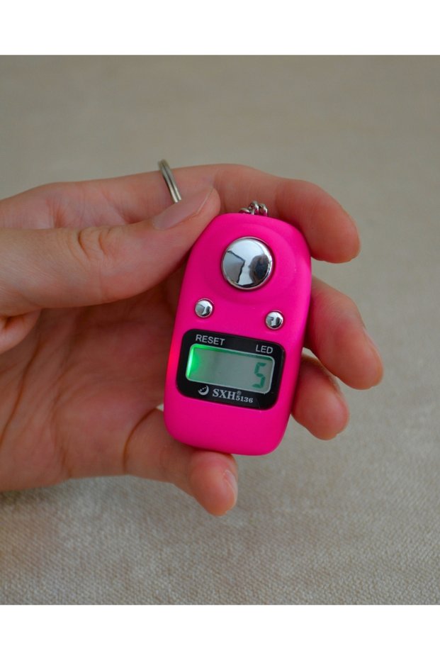 Digital Chanting Counter with Keychain – Lighted and Reset Key | Matte Color Pink