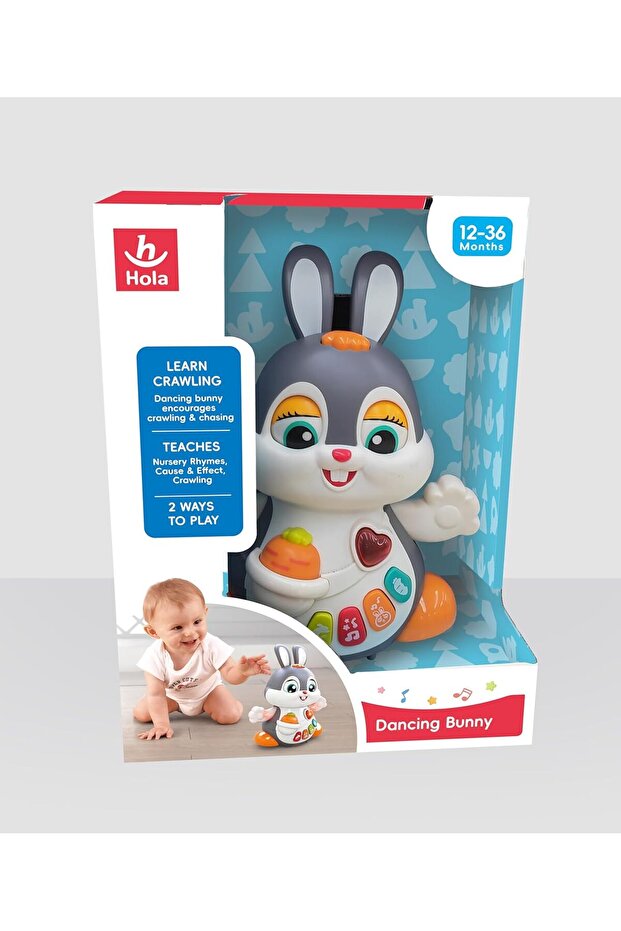 Dancing Rabbit Toy - 4