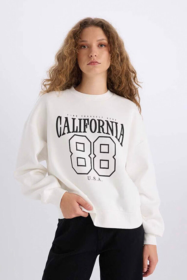 Loose Fit Crew Neck Printed Thick Fabric Sweatshirt E3388Axns