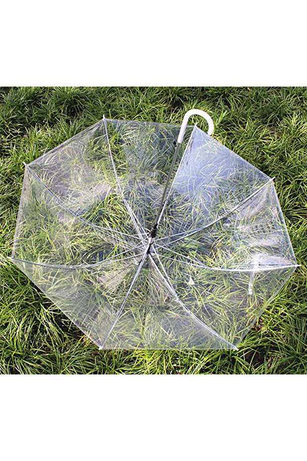 Long Handle Semi Automatic Transparent Umbrella - 2