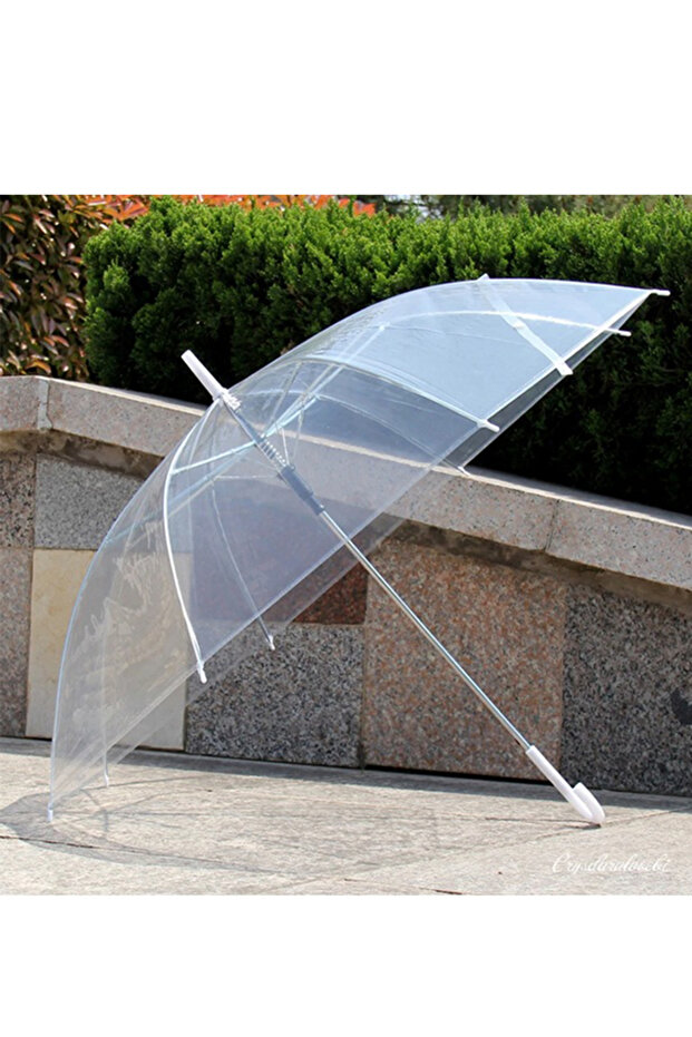 Long Handle Semi Automatic Transparent Umbrella - 1