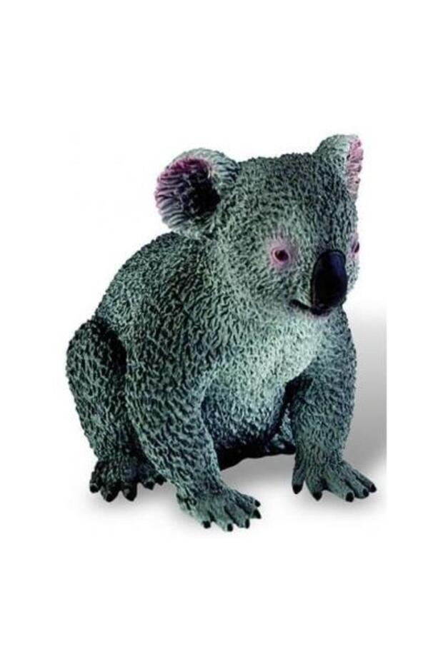 Koala Deluxe - 1