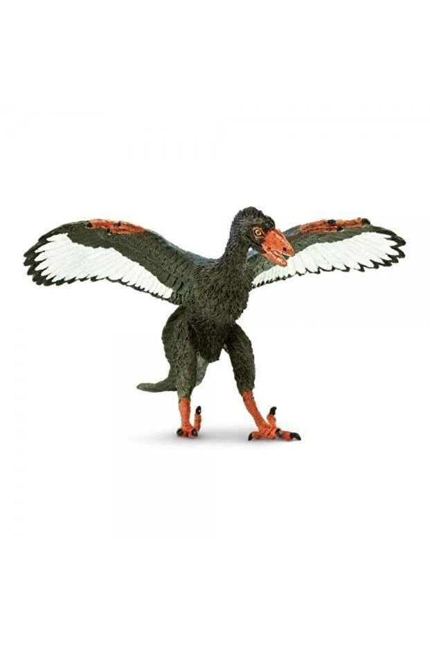 Archaeopteryx - 1