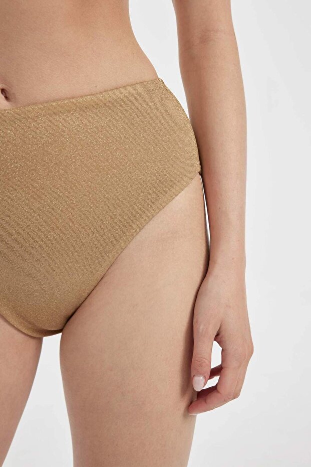 Regular Fit Parlak Kumaş Yüksek Bel Bikini Altı-Fall in Love C3180AX24SM - 4