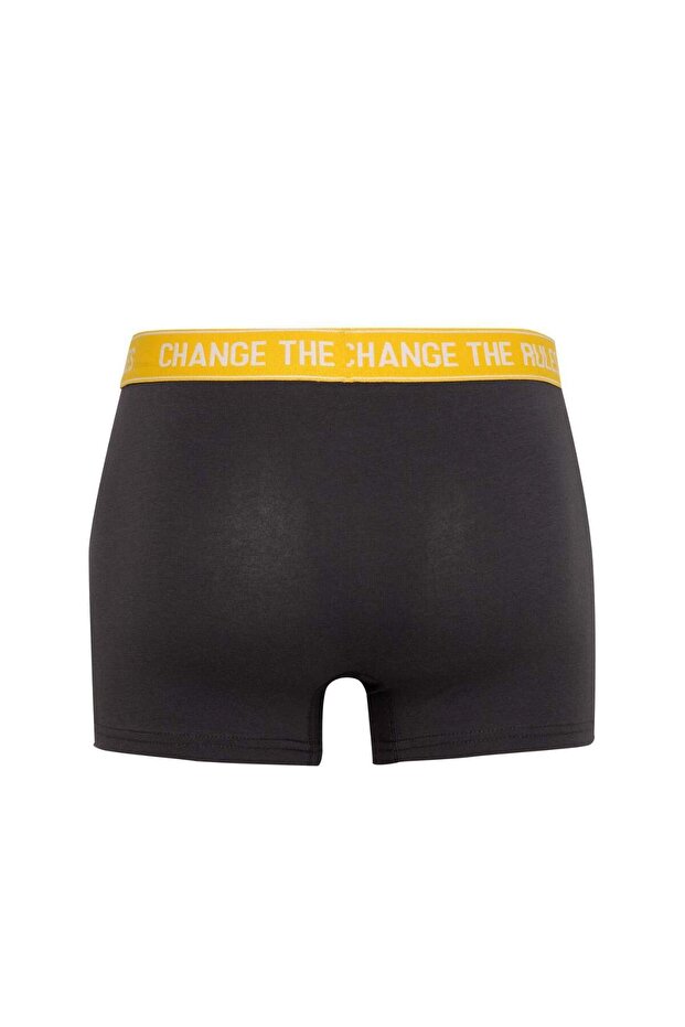 Regular Fit 3lü Boxer B7955AX24SP - 3