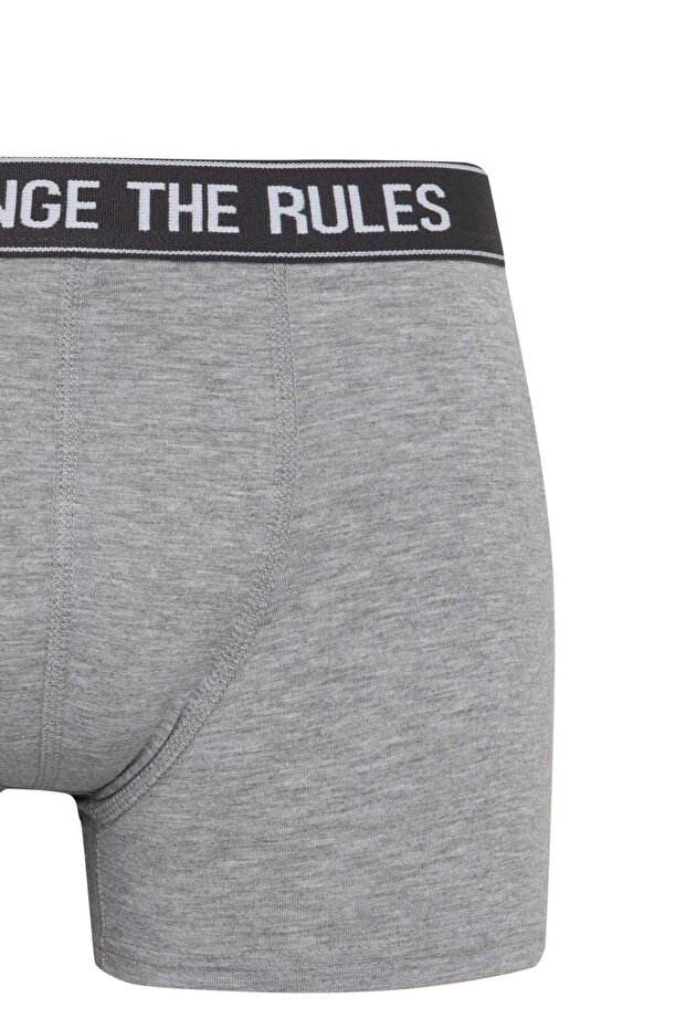 Regular Fit 3lü Boxer B7955AX24SP - 6