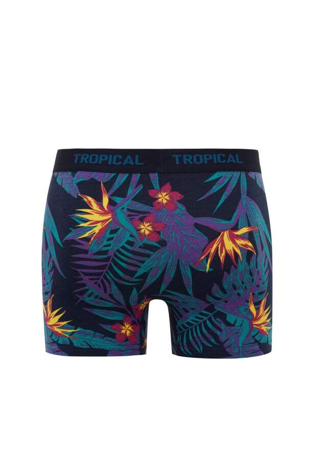 Regular Fit 3lü Boxer B7961AX24SM - 8