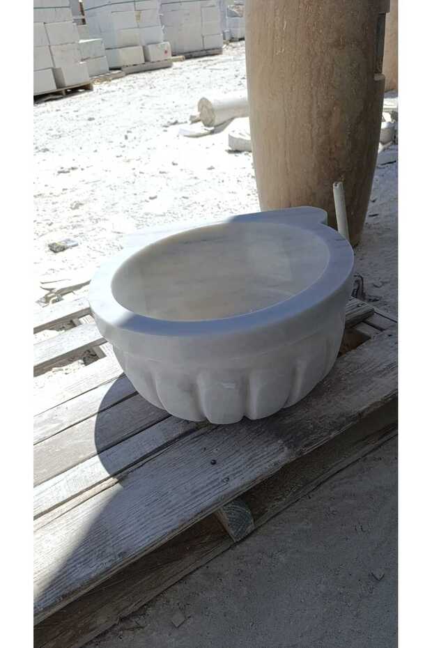 المشمش الأبيض - 3