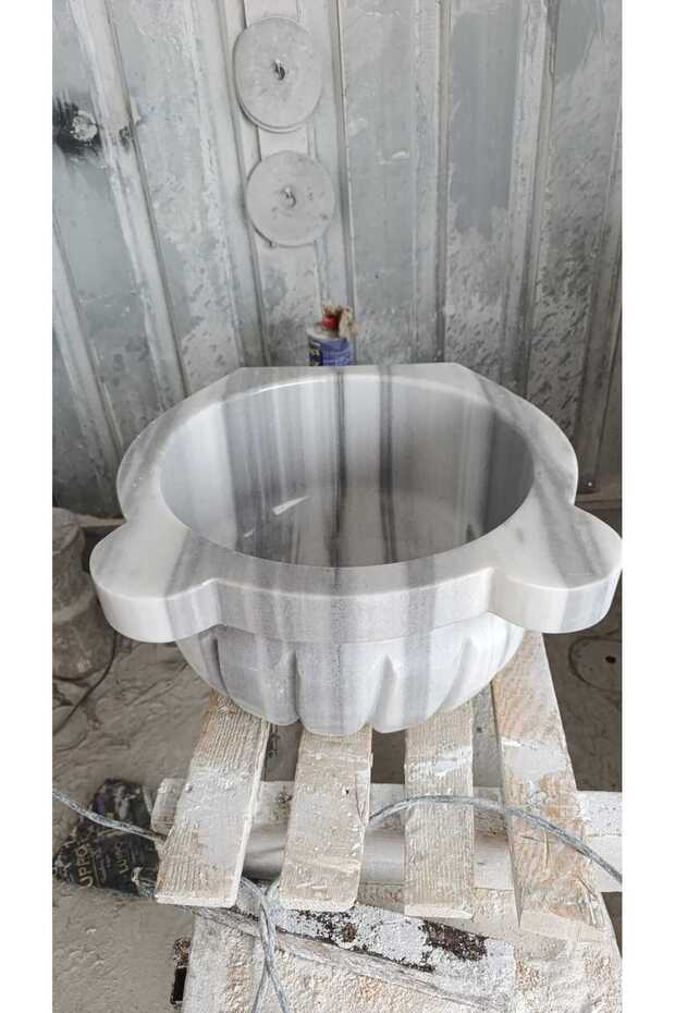 المشمش الأبيض - 2