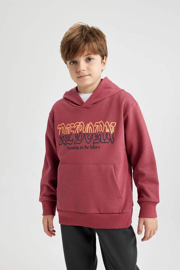 Erkek Çocuk Baskılı Kapüşonlu Kalın Sweatshirt B6312A823CW - 8