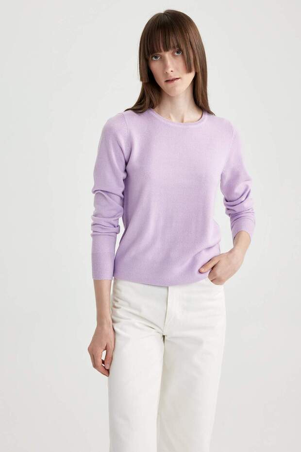 Regular Fit Bisiklet Yaka Yumuşak Dokulu Basic Düz Triko Kazak F7091AZ23WN - 3