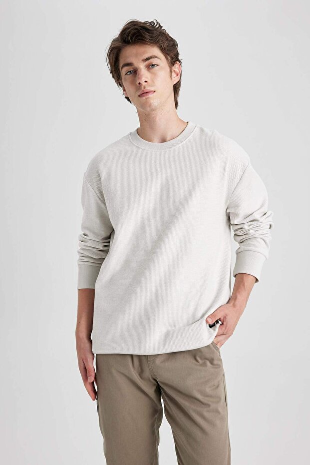 Regular Fit Crew Neck Waffle Sweatshirt A5802Ax23Au