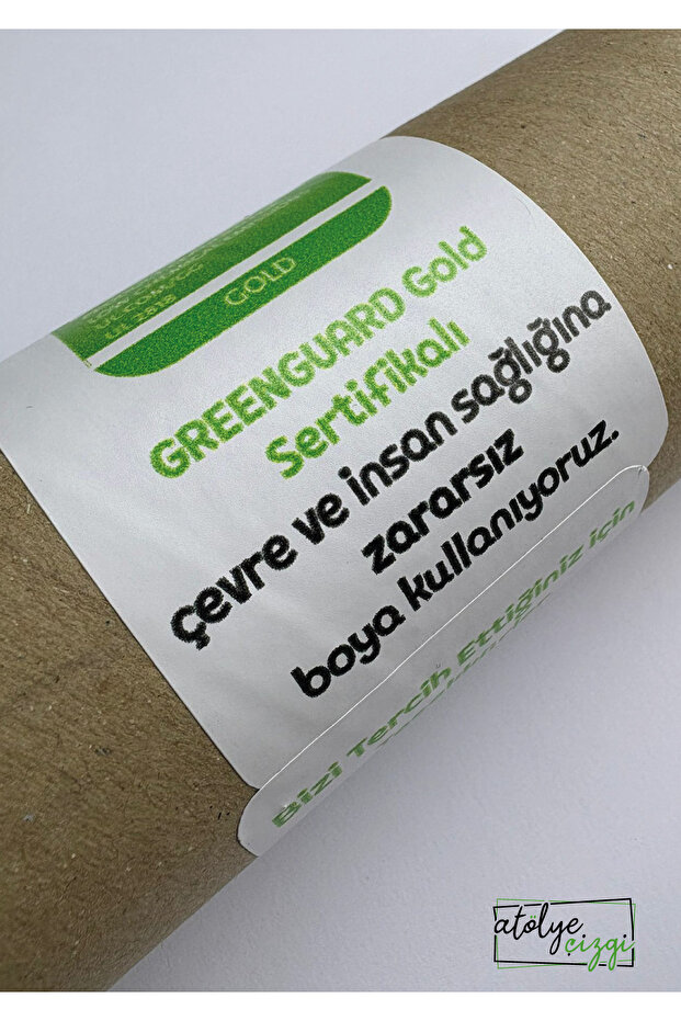 Snowboard Sticker Set - 4