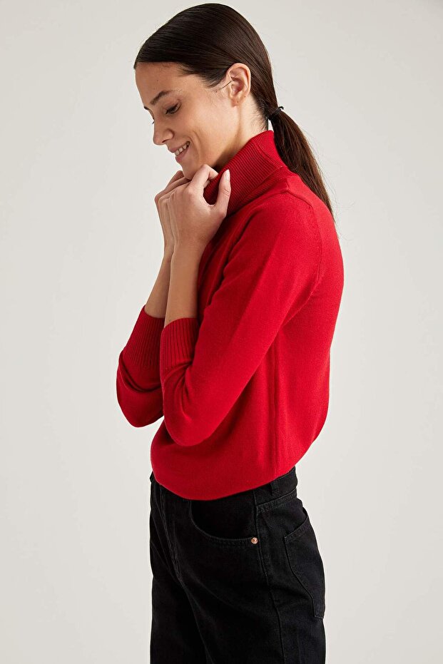 Rollkragenpullover mit weicher Textur, Basic-Strickpullover (25 WN) - 1