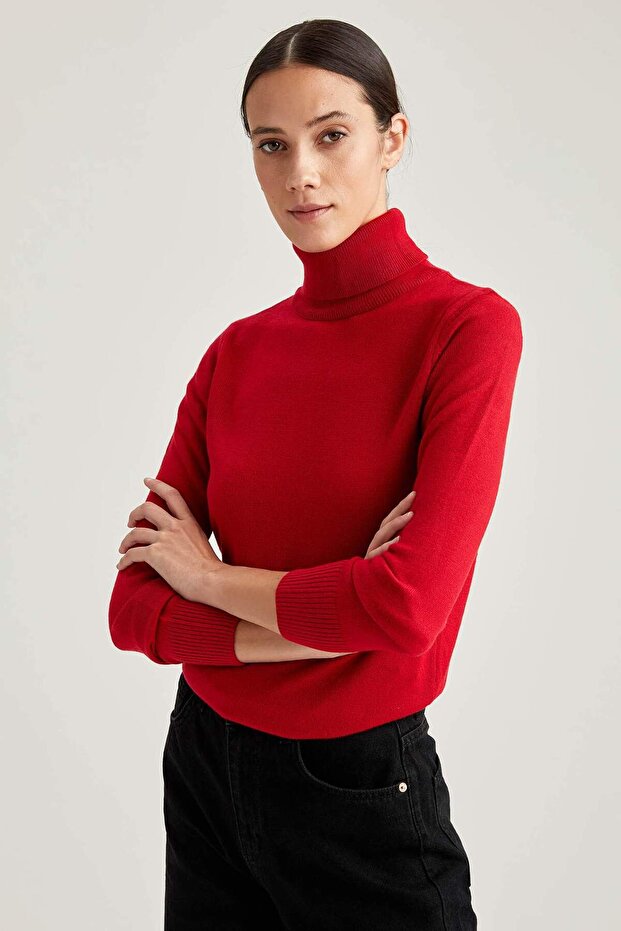 Rollkragenpullover mit weicher Textur, Basic-Strickpullover (25 WN) - 5