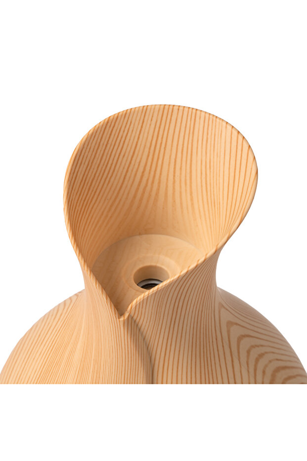 Aroma diffuser and humidifier - 2