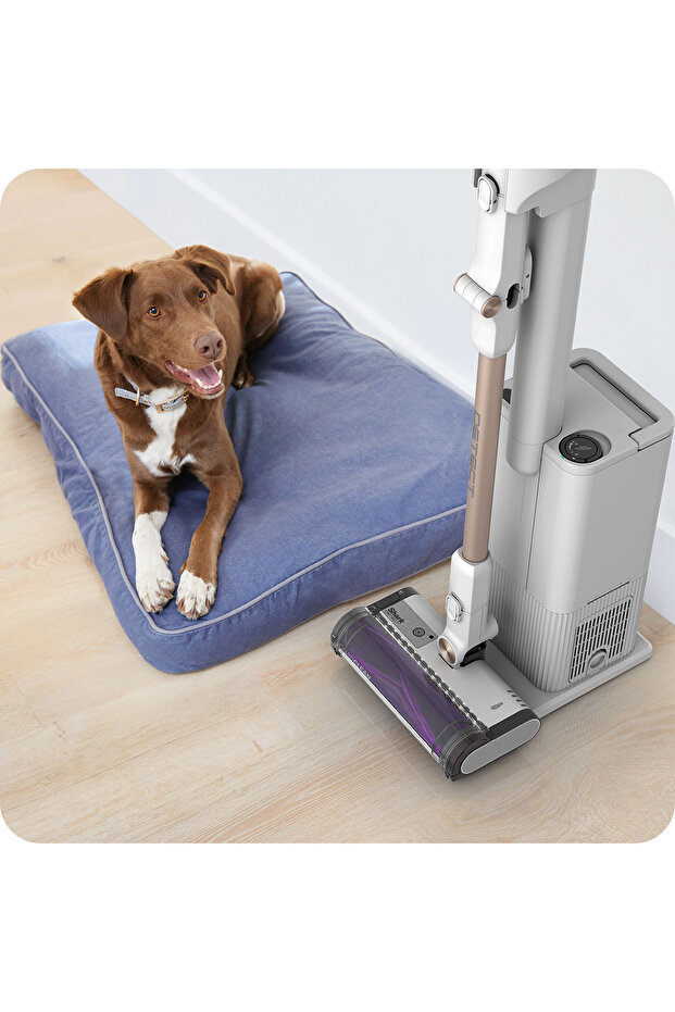 Detect Clean & Empty IW3612EUT - 4