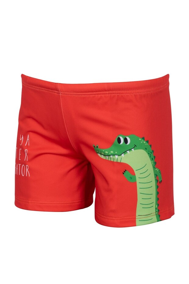 ALLIGATOR SORT - 2
