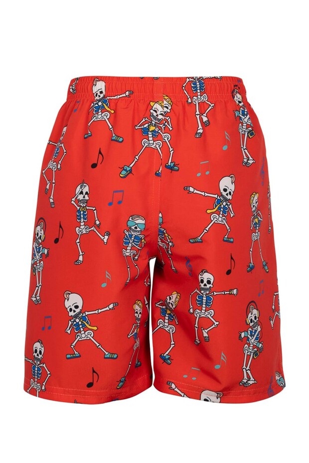 تصنيف الجمجمة - 2