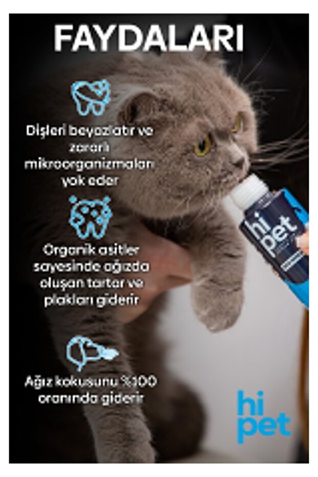 Malt Paste 100 gr Kedi - 5