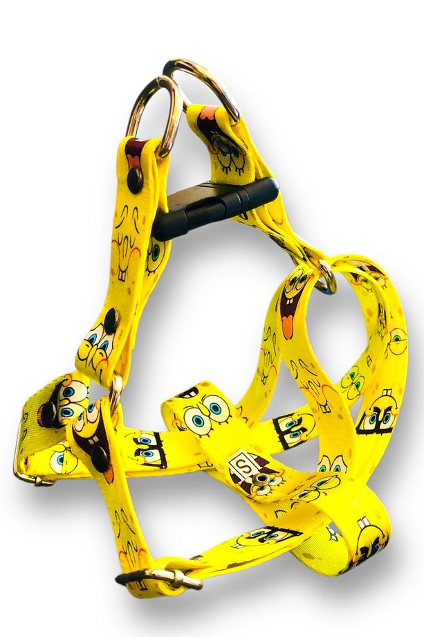 Köpek Tasması ( Göğüs Tasması ) Gezdirme Kayışı Set - 2