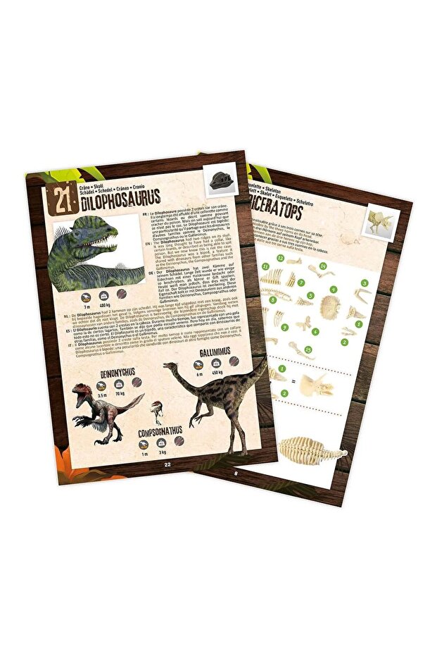 Dino Surprise Box - 5