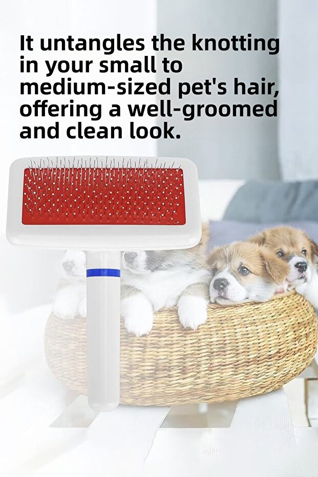 Pet Comb - Feather Dislocation Opener with Handle, Play Tunnel with Flea Lice Pick Comb - 7