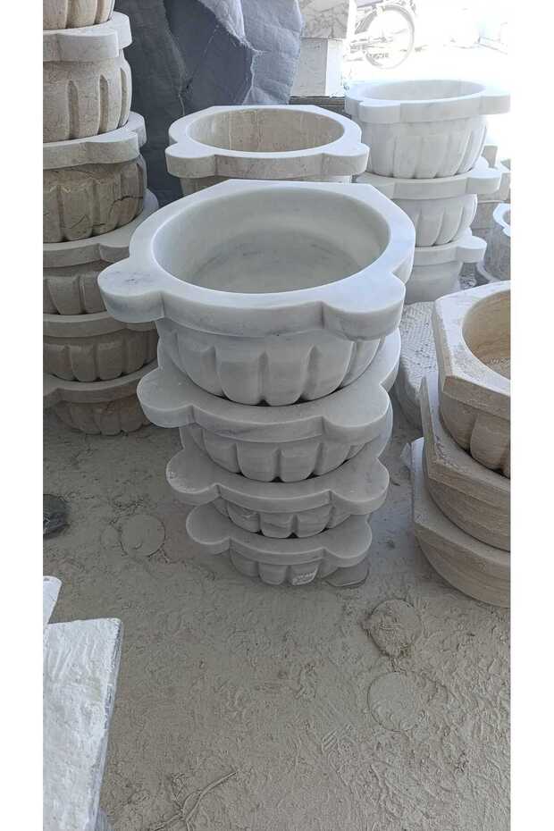 المشمش الأبيض - 1