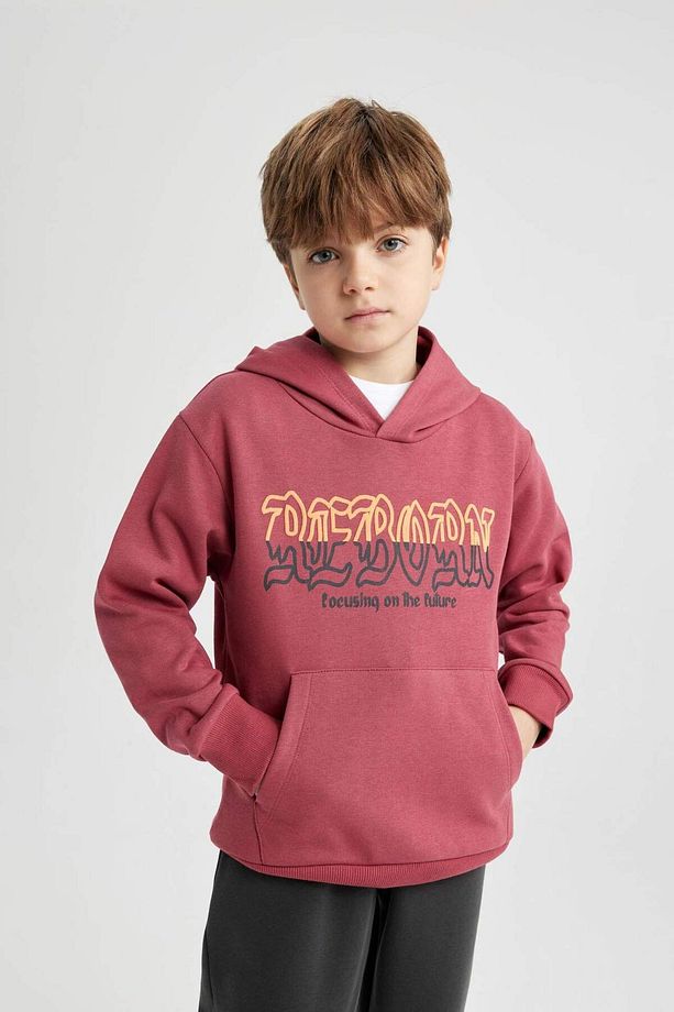 Erkek Çocuk Baskılı Kapüşonlu Kalın Sweatshirt B6312A823CW - 5