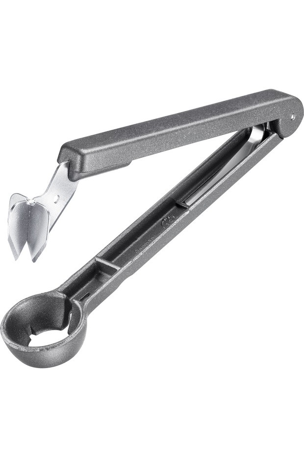 مستخرج بذور البرقوق - 2