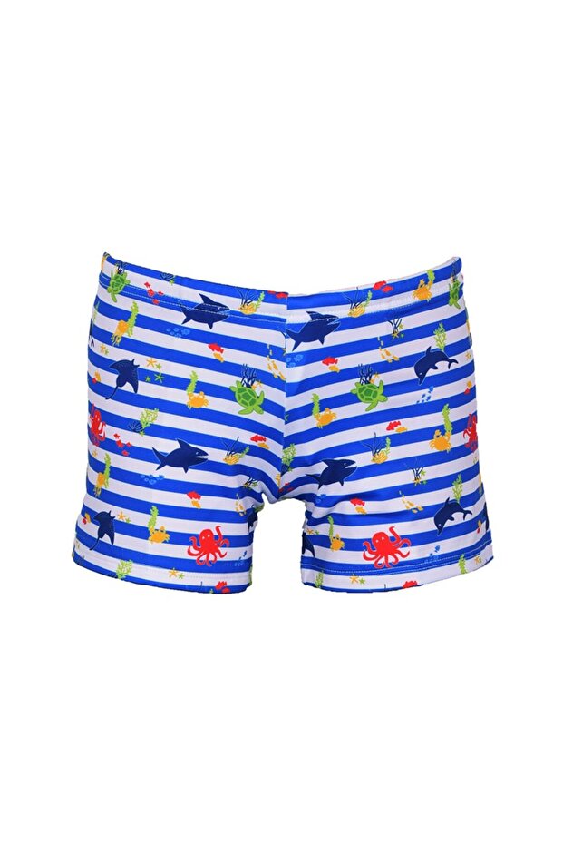 إيدي سورت - 1