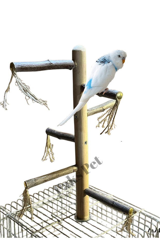 Natural Bird Perch on Cage Top, Natural Perch for Cockatiel, Budgie Premium Parrot Perch