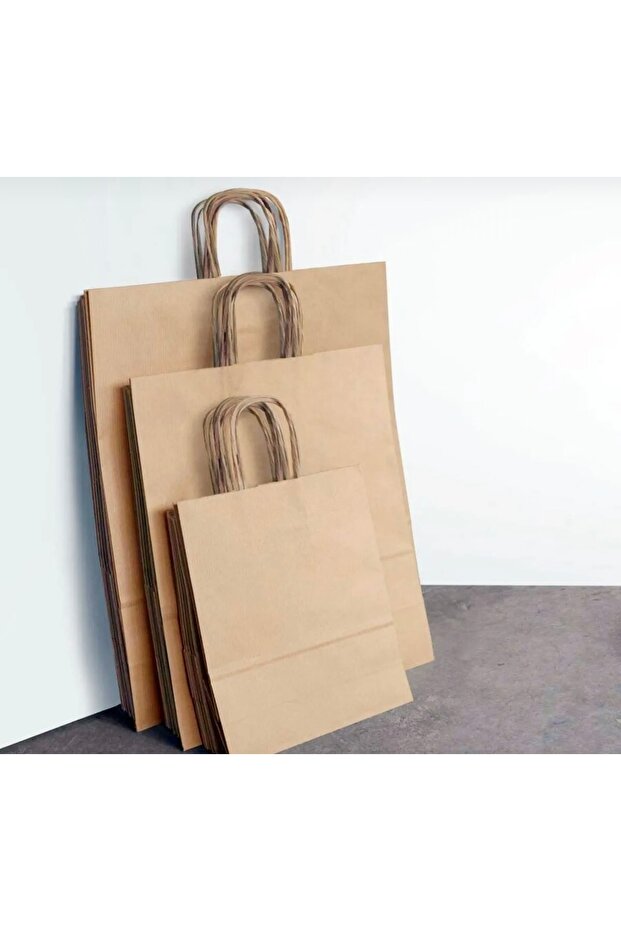 Kraft Kağıt Poşet (18x8x24 Cm) Burgu Saplı Kağıt Torba ( 250 Adet) Kağıt Çanta - 1