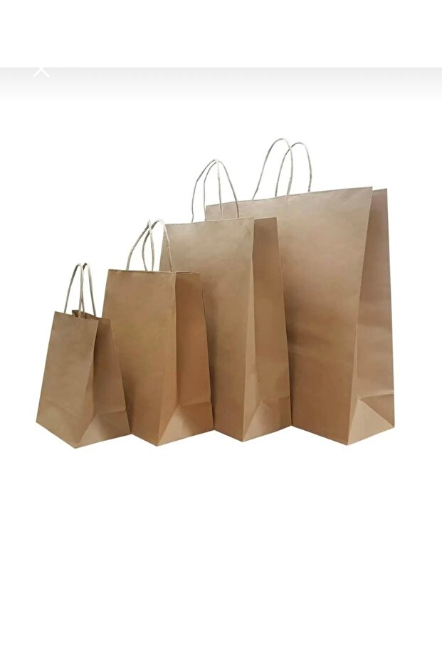 Kraft Kağıt Poşet (18x8x24 Cm) Burgu Saplı Kağıt Torba ( 250 Adet) Kağıt Çanta - 2