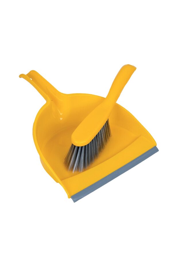 Dust Pan with Brush