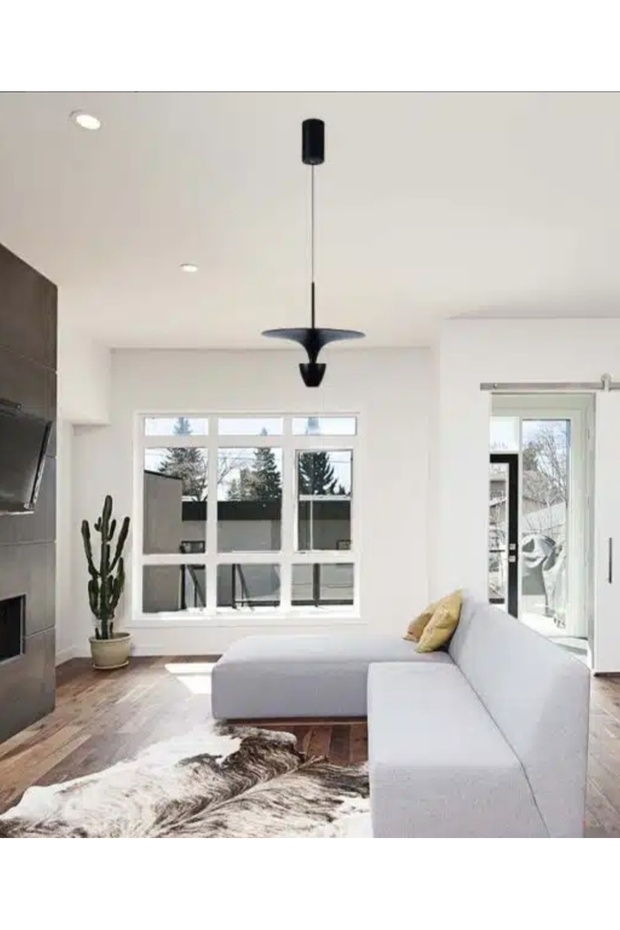 Modern single pendant light