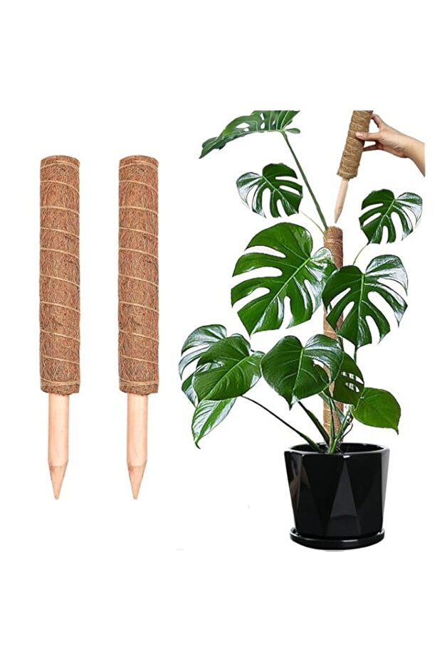 Moss Pole, 40cm/16inch Monstera Plant Support for Climbing Plants Accessories Indoor, Stackable Moss Poles Plant Support Stakes, Coir Plant Pole Sticks for Potted Plants (2 Pack)