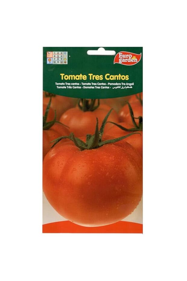 Euro Garden Tomato Big