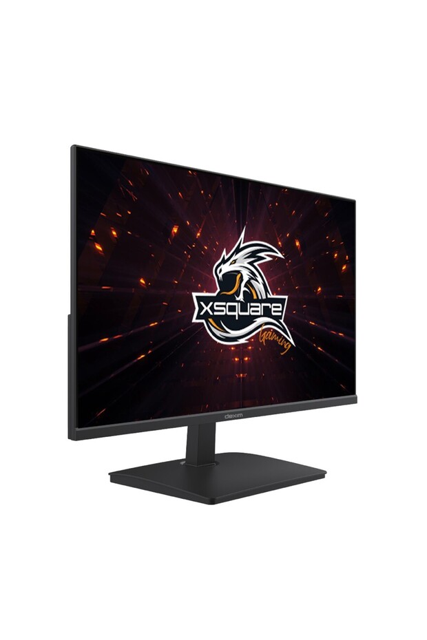 23,8" FHD 100Hz 1ms (HDMI+VGA) Freesync IPS Monitör DMT006 - 2