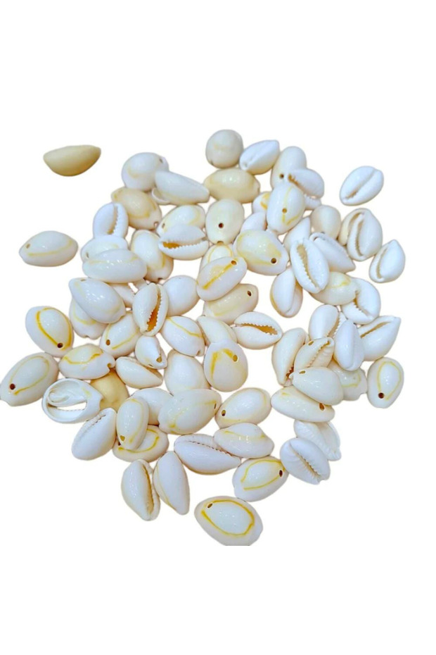 seashell beads - 1