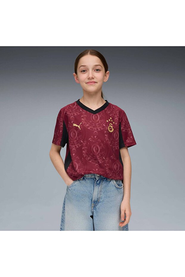 Galatasaray S.K. Striped Jersey 25/26 Home Jersey Striped Men's Jersey Burgundy