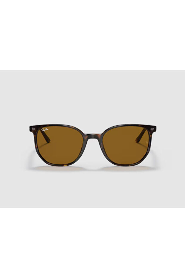 Rb2197-902/33 52 Unisex Sunglasses Brown Bone Frame Brown Glass