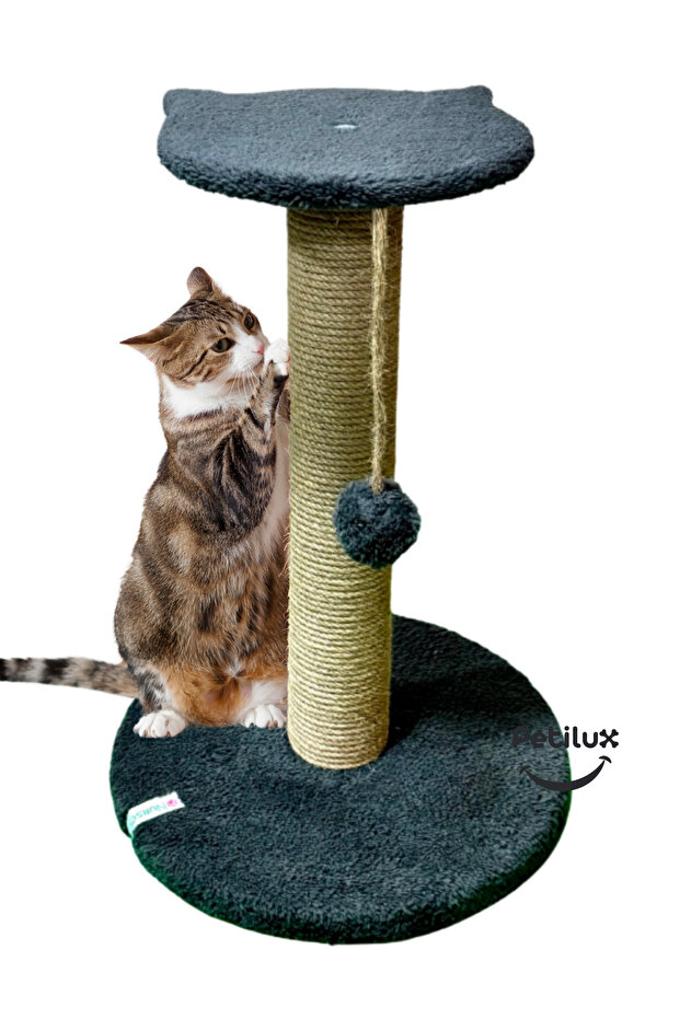 Jute Drawstring Single Scratching Post with Cat Head Figure Step Top