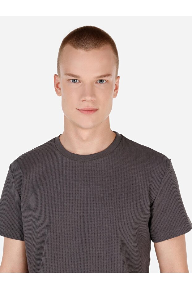 Regular Fit Bisiklet Yaka Dokulu Antrasit Erkek Kısa Kol Tişört - 4